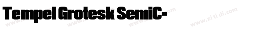 Tempel Grotesk SemiC字体转换